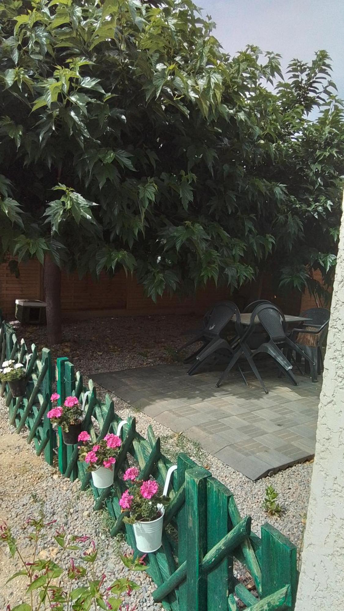 La Tortue Daire Passa Dış mekan fotoğraf